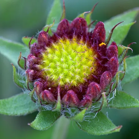 Hotel La Rosa Castione della Presolana